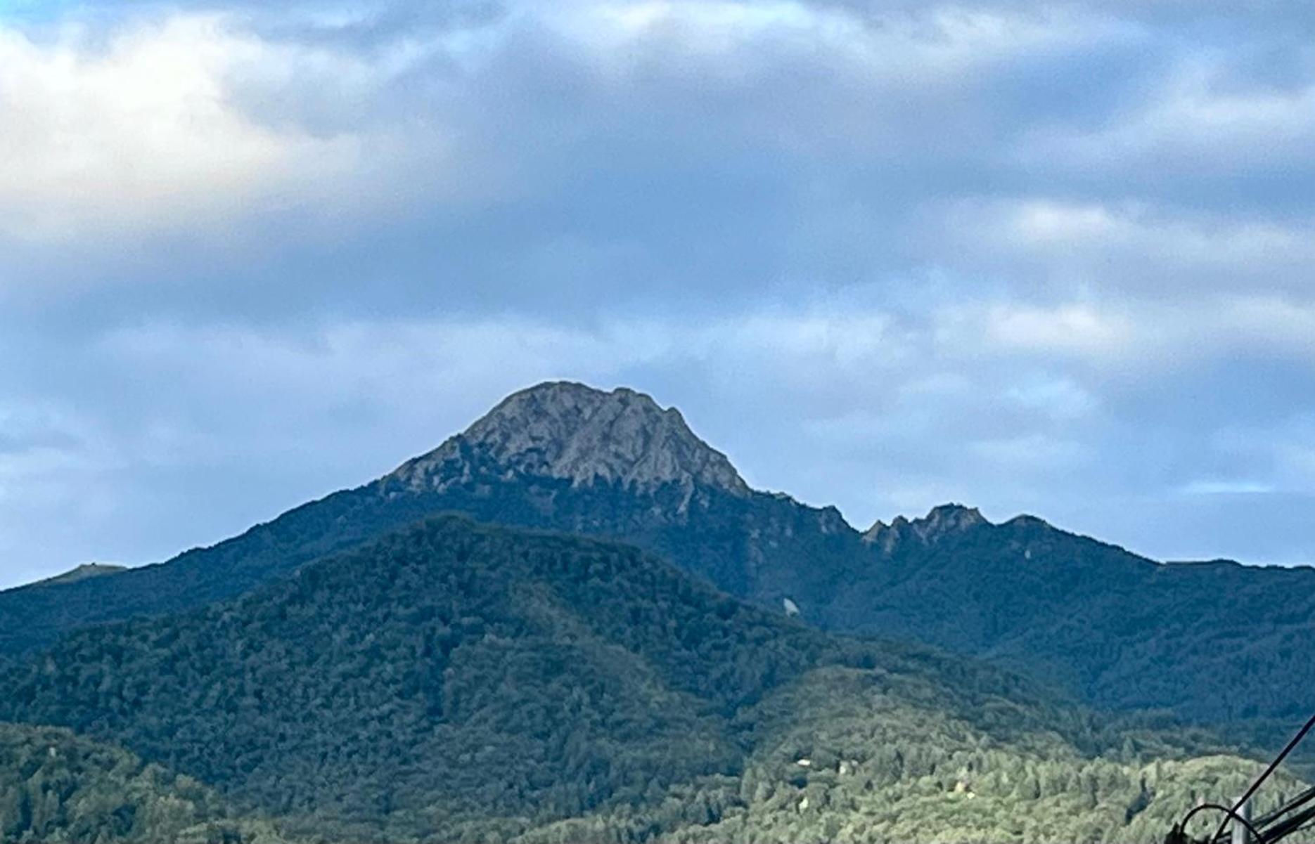 Apartamento El Mirador De La Farga Arbucies Bagian luar foto