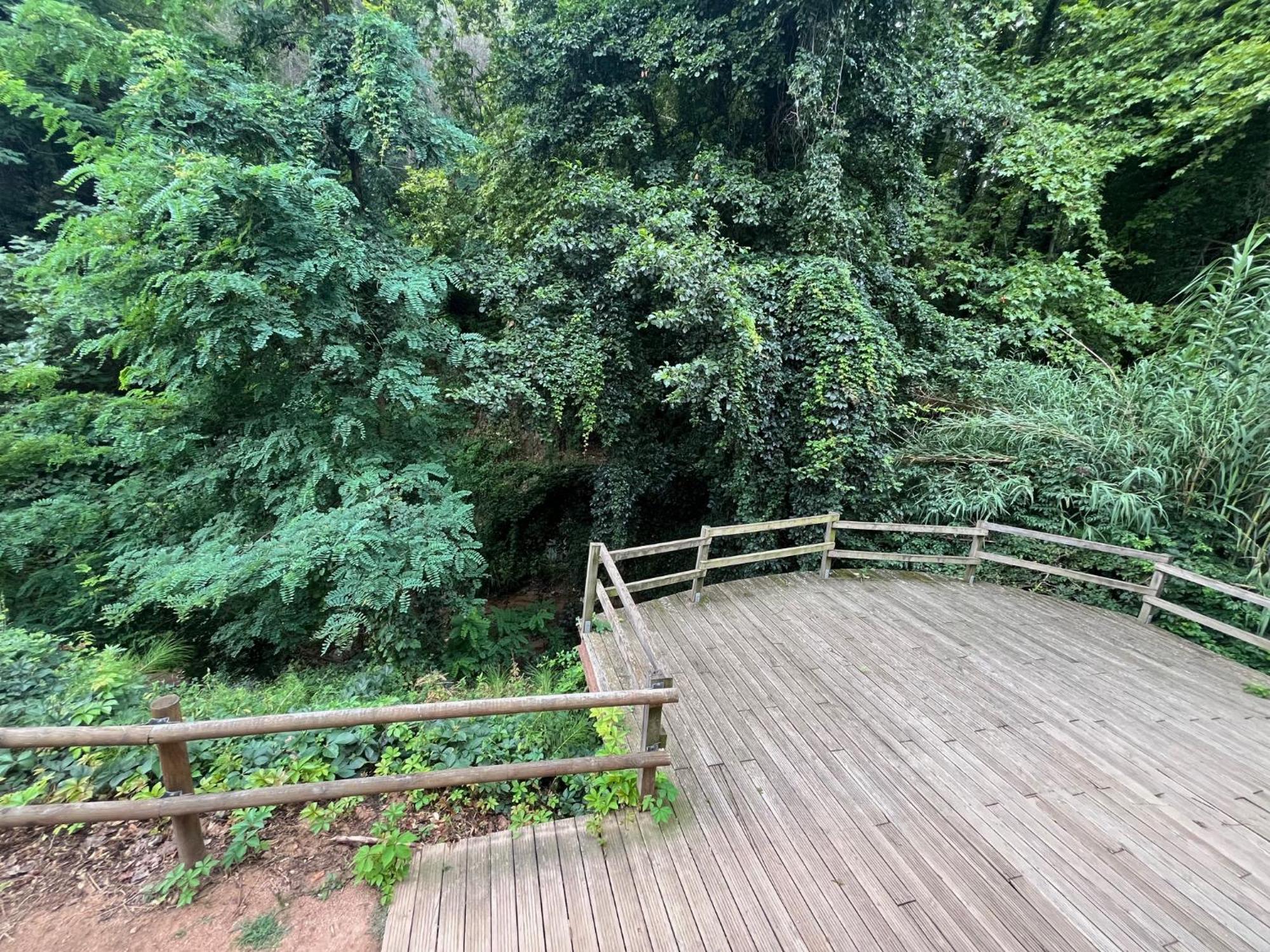 Apartamento El Mirador De La Farga Arbucies Bagian luar foto