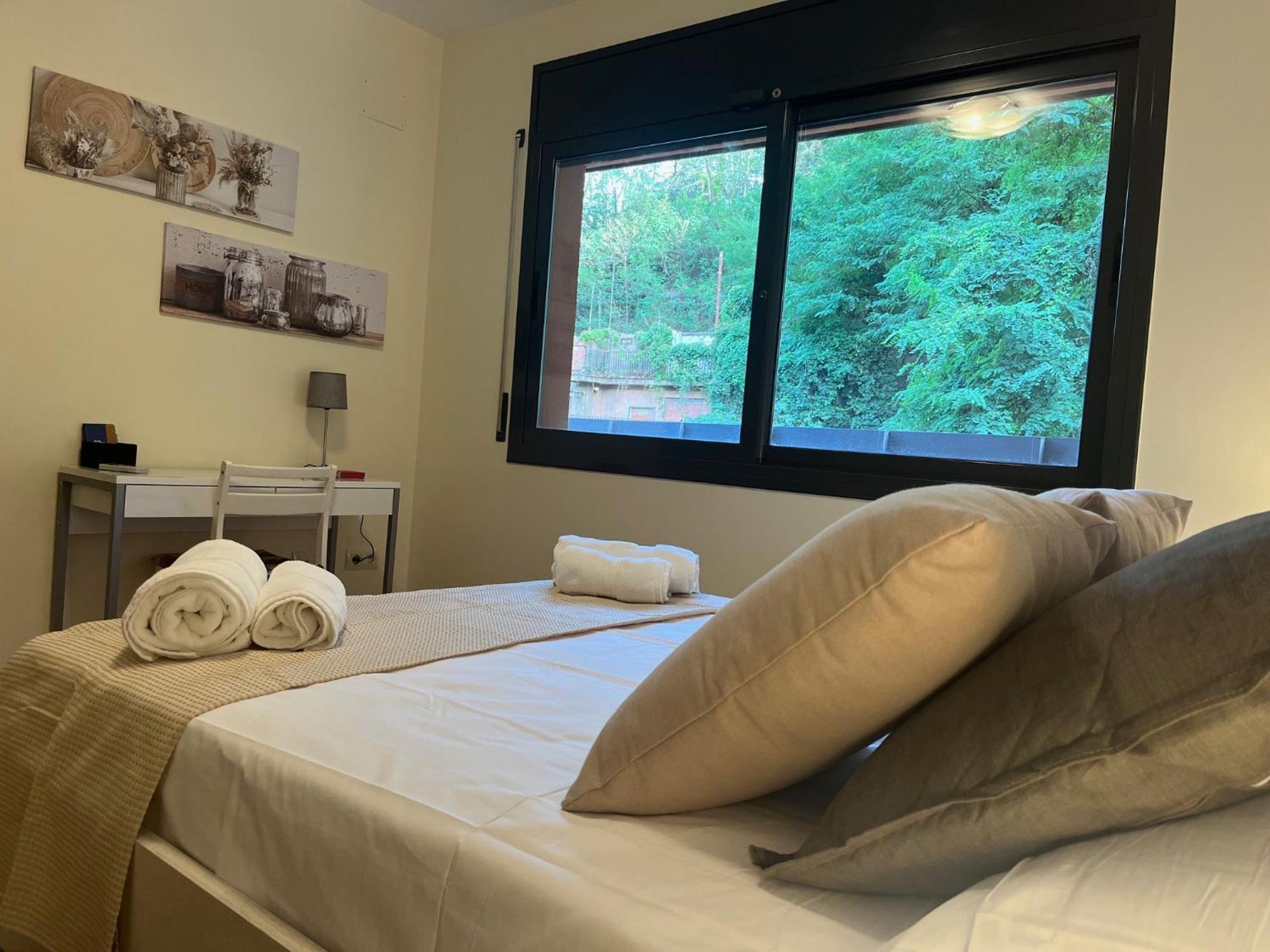 Apartamento El Mirador De La Farga Arbucies Bagian luar foto